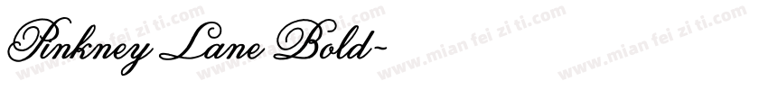 Pinkney Lane Bold字体转换